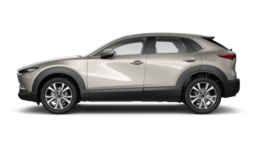 Warna Mazda CX-30 Platinum Quartz Metallic (FWD)